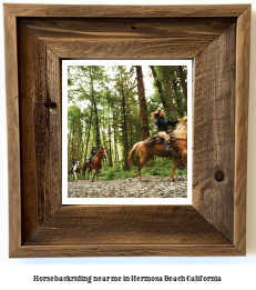 horseback riding near me in Hermosa Beach, California